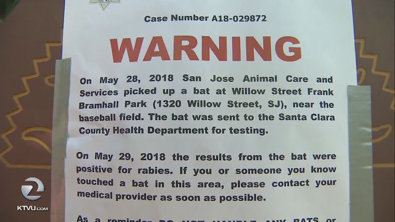 Rabid bat warning in San Jose