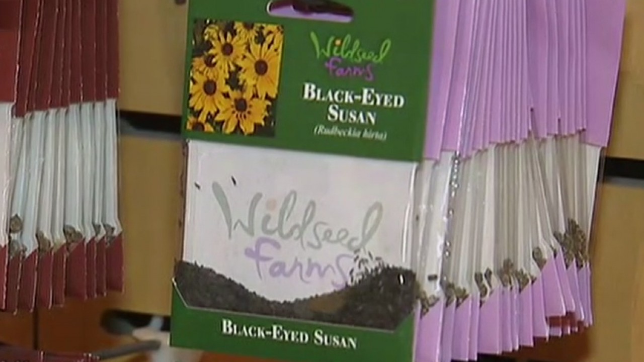 Your Garden: Wildflower Seeds