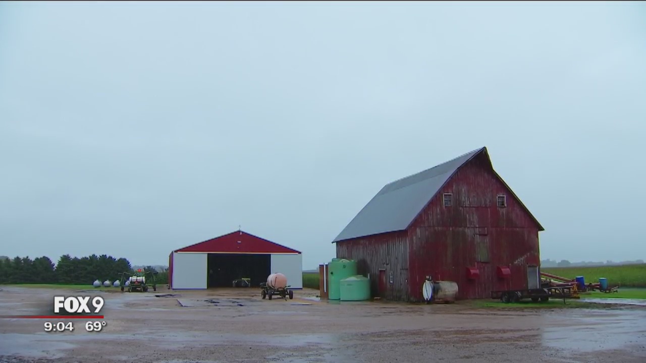 Minnesota farmers coping with extreme rainy season