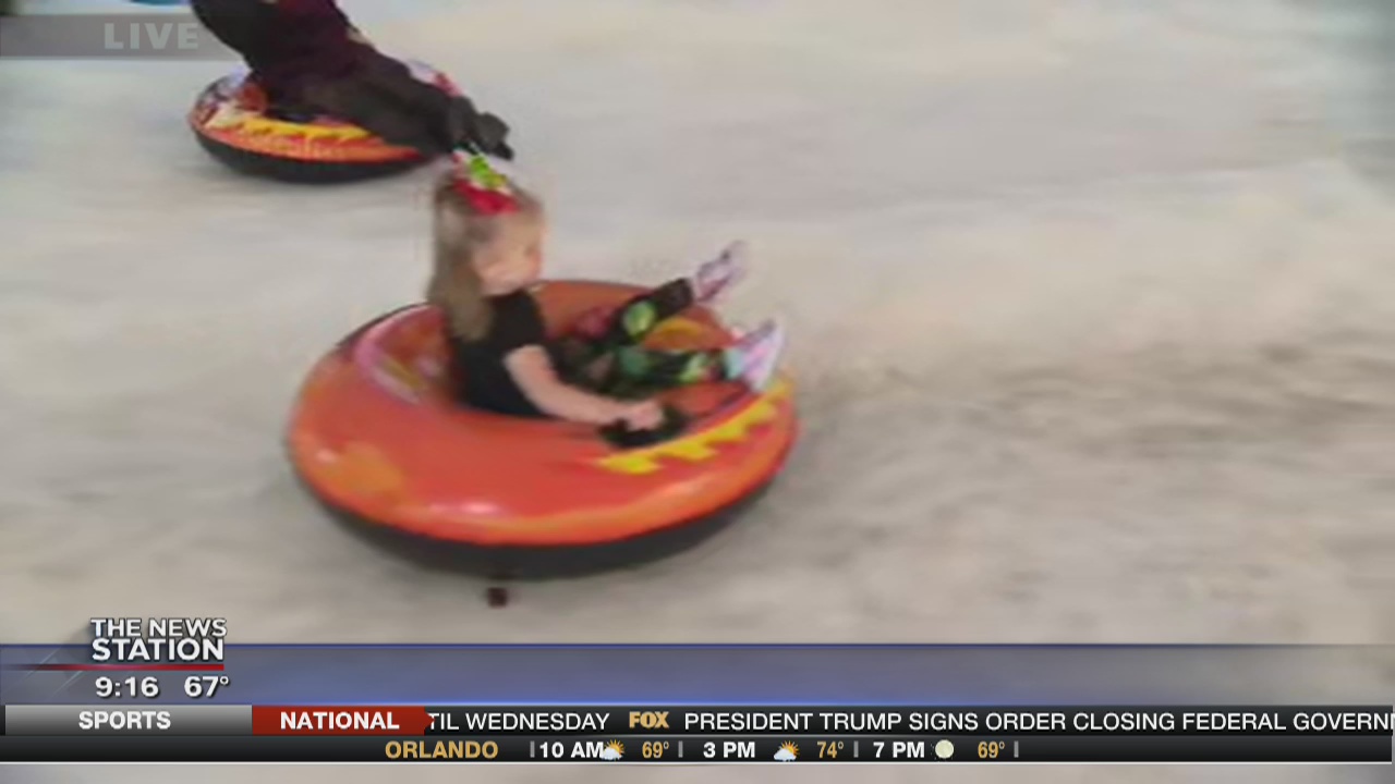 David Does It: Wekiva Island Winter Wonderland