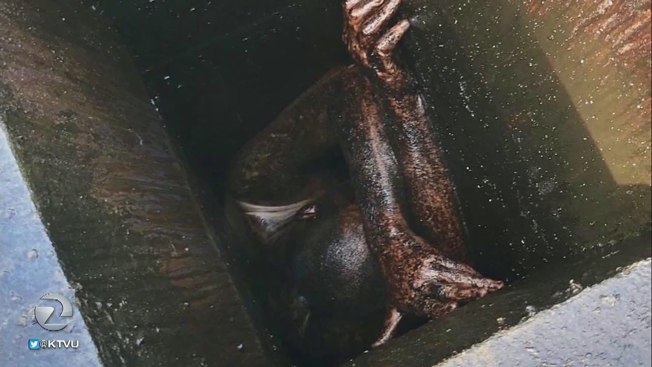 Man stuck in grease vent of Chinese restaurant for two days: Alameda County sheriff